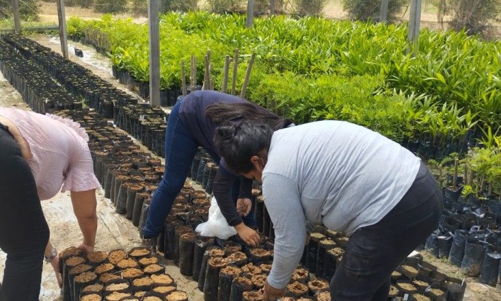 2bca6deec2a3eec772c4c2814749edf3