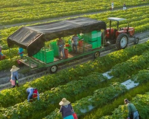 772ec7963b939109b538ff769aad0c2d