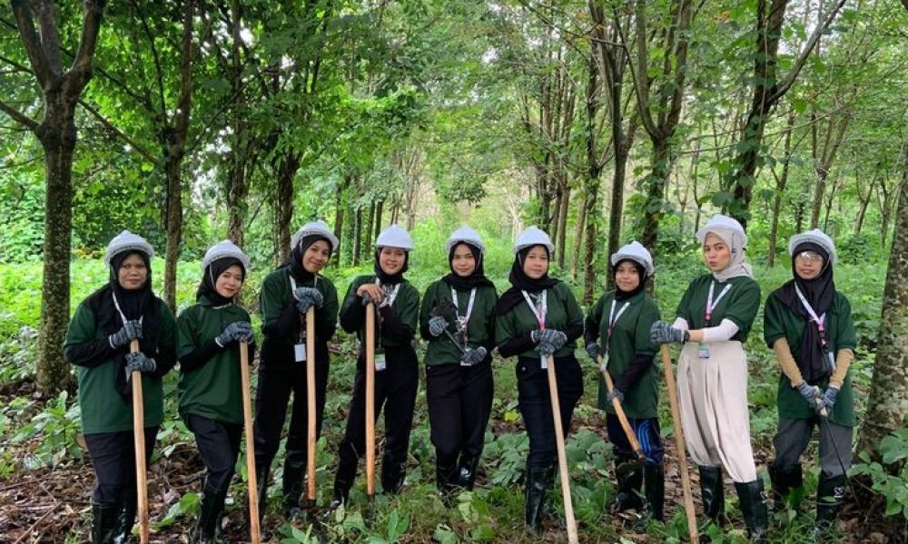 972c7cbdd5729fcb3f80f7036095fb1e