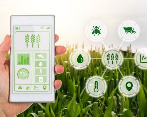 b74a4f7274e67cfc8af3f6a4244bb7d2